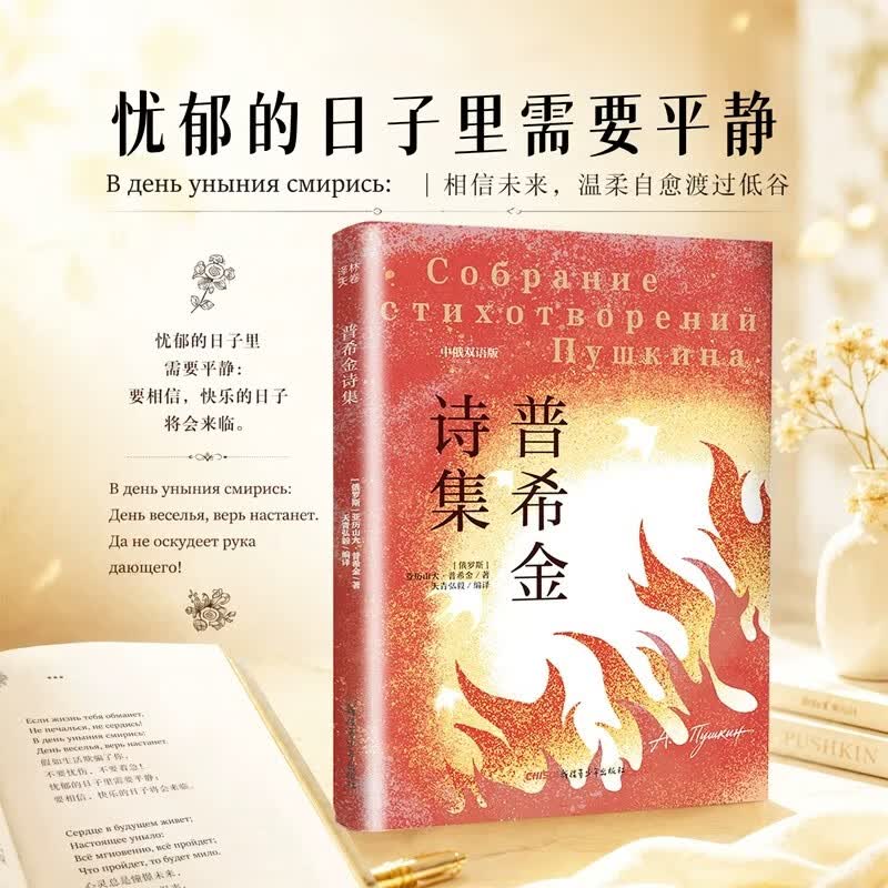 普希金诗集诗选 中俄双语版本 收录全部经典名篇市面全本文学名著原著世界名著外国文学普希金诗集抒情 普希金诗集 无规格