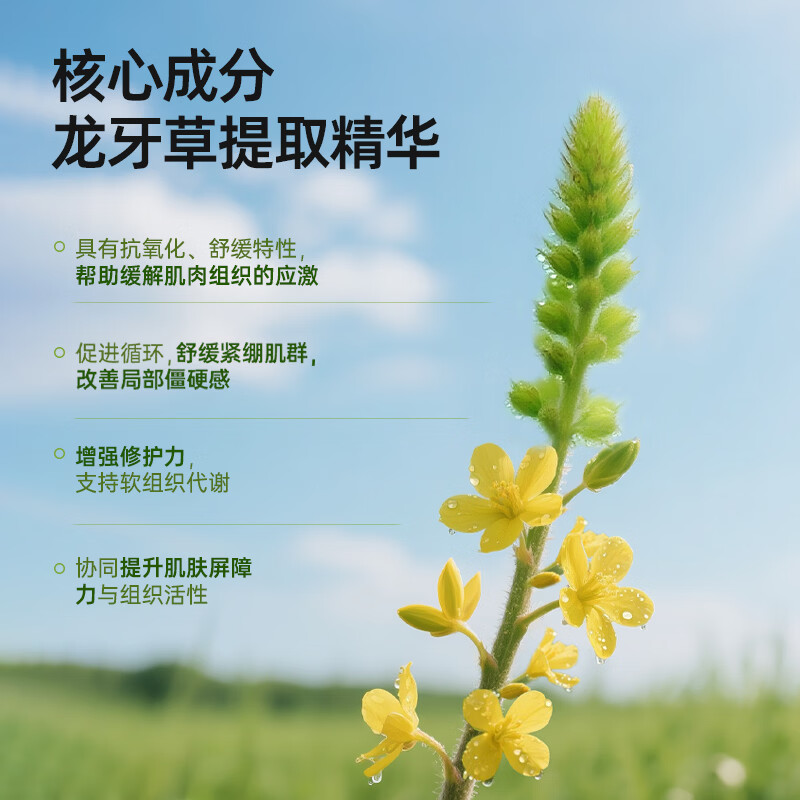 ralflem拉弗锐德国原装进口运动舒缓膏肩颈腰膝关节肌肉酸痛热敷按摩凝胶 德国龙膏 280ml*1罐 家庭大容量