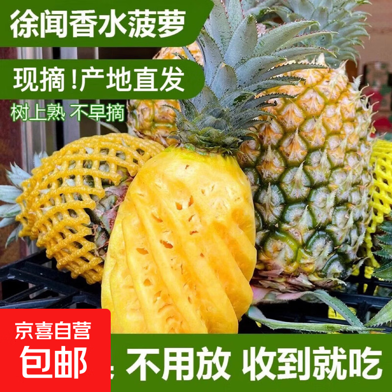 京喜加【树上熟收到即食】正宗广东徐闻菠萝当季水果生鲜非凤梨大菠萝 【中果1个装】单果650g起-净重1.3-1.8斤