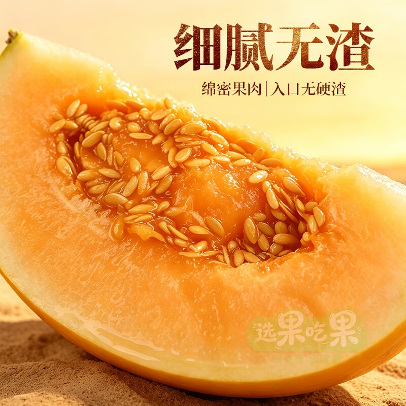 选果吃果【现摘蜜瓜】爆甜正宗民勤蜜瓜甘肃民勤甜瓜当季新鲜香瓜包邮 自然栽植民勤蜜瓜【带箱8-9斤3颗礼盒装】皮薄肉厚 单果1000g-1750g