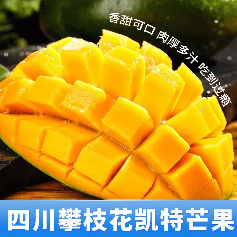 落沙园攀枝花凯特芒新鲜水果香甜可口肉厚多汁大果现摘现发 9斤分享装[多人分享装-较划算]净8.5斤 A+级精选大果[单果300g+]甜