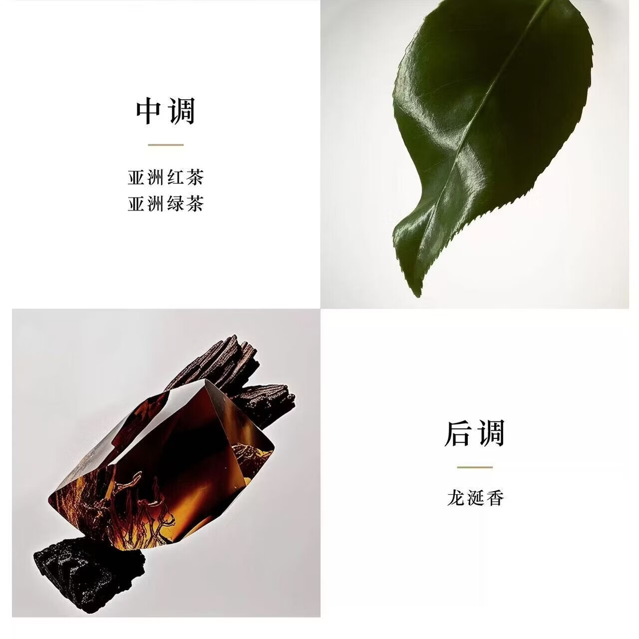 ARMANlPRIVE玉龙茶香淡香水100ml王嘉尔同款木质香水礼盒生日礼物 玉龙茶香淡香水100ml