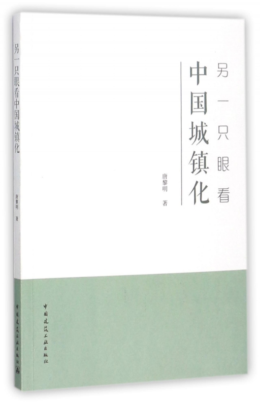 另一只眼看中国城镇化