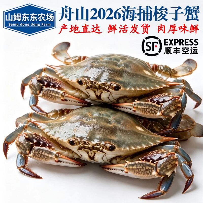 【保鲜不保活】山姆东东农场 梭子蟹鲜活大螃蟹舟山飞蟹 中秋送礼 精选梭子蟹3斤【5-7两/只,约4-7只】