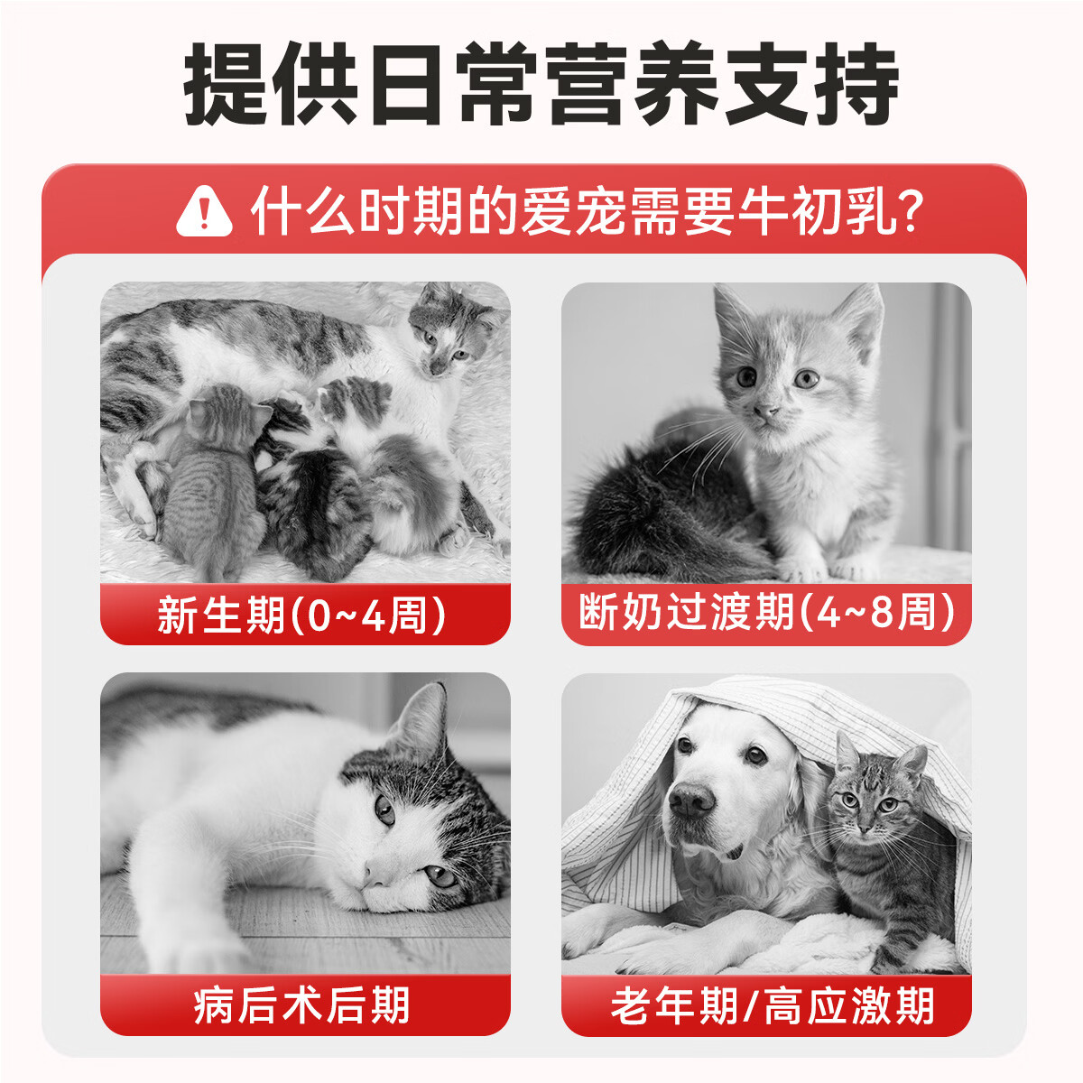 金宇牛初乳免疫增强膏30ml大剂量100ml奶猫小猫免疫力差补钙 金宇牛初乳膏100ml+维生素B口服液1盒