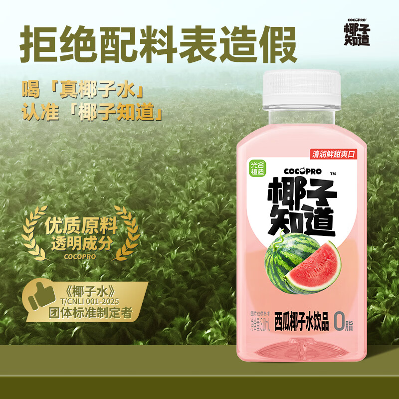椰子知道西瓜椰子水风味饮料0脂健康椰青椰汁水整箱电解质水310ml果汁饮品 西瓜椰子水饮料310ml*6瓶