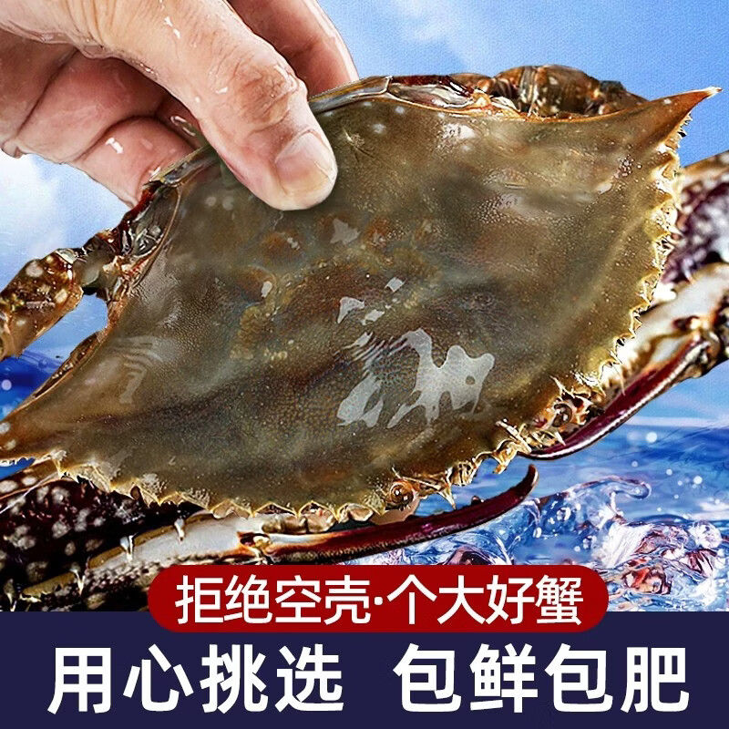 【保鲜不保活】山姆东东农场 梭子蟹鲜活大螃蟹舟山飞蟹 中秋送礼 精选梭子蟹3斤【5-7两/只,约4-7只】