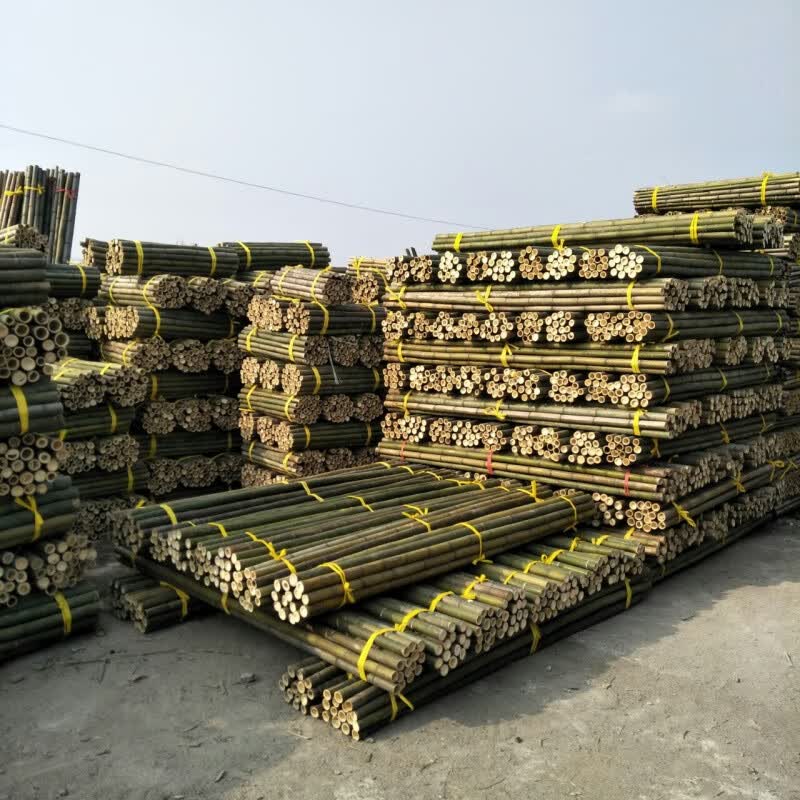 睿格达菜架子蔬菜架杆子竹竿菜园搭架蔬菜黄瓜番茄豆角架杆竹篱笆栅栏