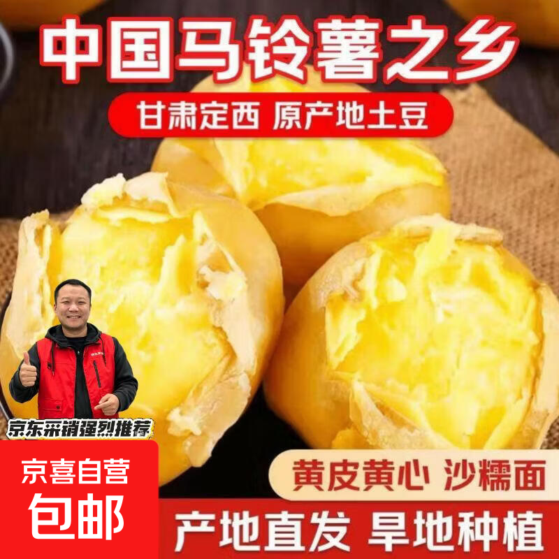 甘肃定西土豆当季现挖黄皮黄心产地直发沙糯面马铃薯洋芋新鲜蔬菜 小果-2斤（带箱）-黄皮黄心