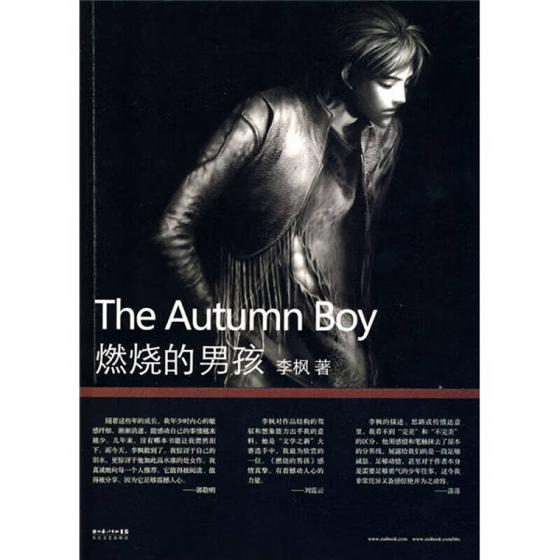 燃烧的男孩 李枫9787535443120【正版好书】