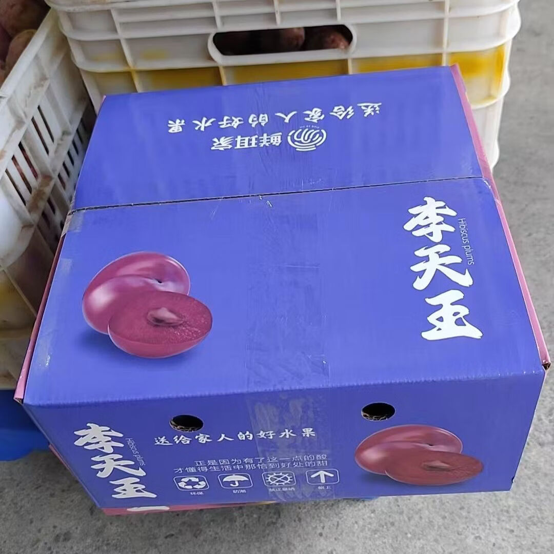 鲜珥家【顺丰发货】古田正宗红心芙蓉李大果4斤装当天现摘现发产地直发 古田芙蓉李大果 单果50-70g【4斤彩箱装】