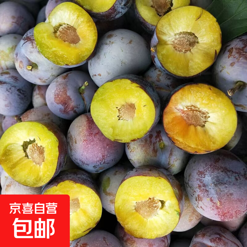 四川脆红李子脱骨李新鲜水果现摘现发非蜂糖李当季生鲜鲜果 净重4.5斤【单果15g+】中果