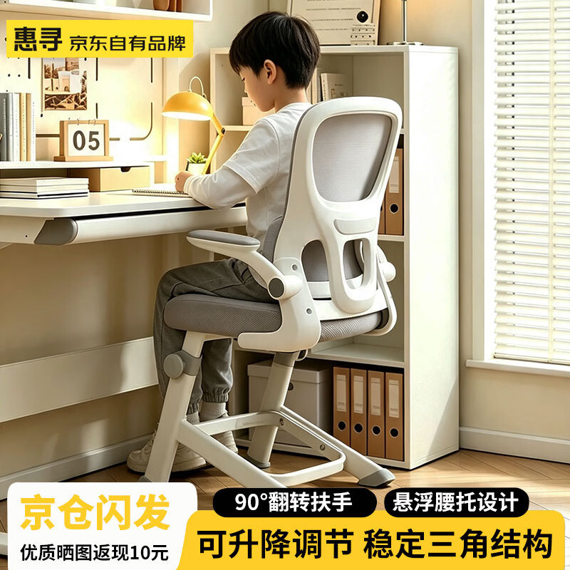 惠寻 京东自有品牌电脑椅学习椅工学座椅升降办公椅书桌椅靠背椅子 典雅灰【悬浮腰托+升降调节】
