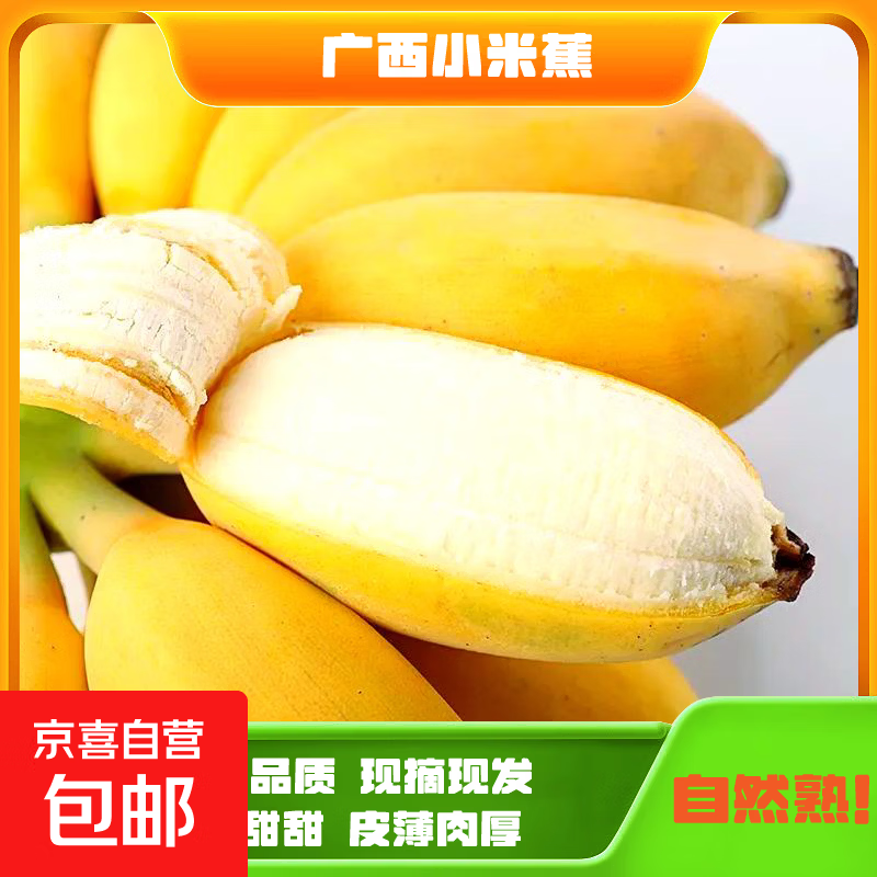 京喜加广西小米蕉自然熟酸甜香蕉正宗新鲜水果小芭蕉苹果蕉自然熟当季 带箱1斤
