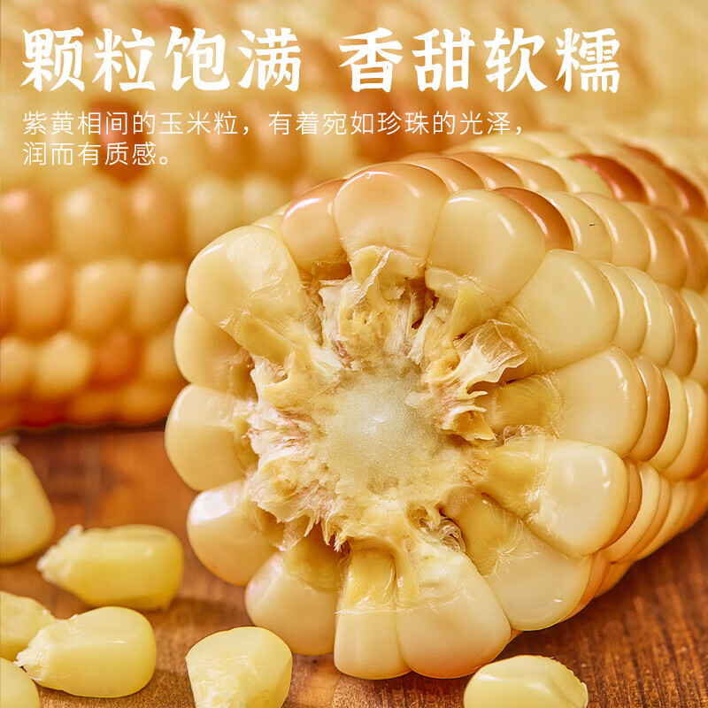 隆平 鲜食甜糯玉米棒 非转基因独立真空包装早餐杂粮低脂 【超值性价比】云南花糯玉米3.2斤