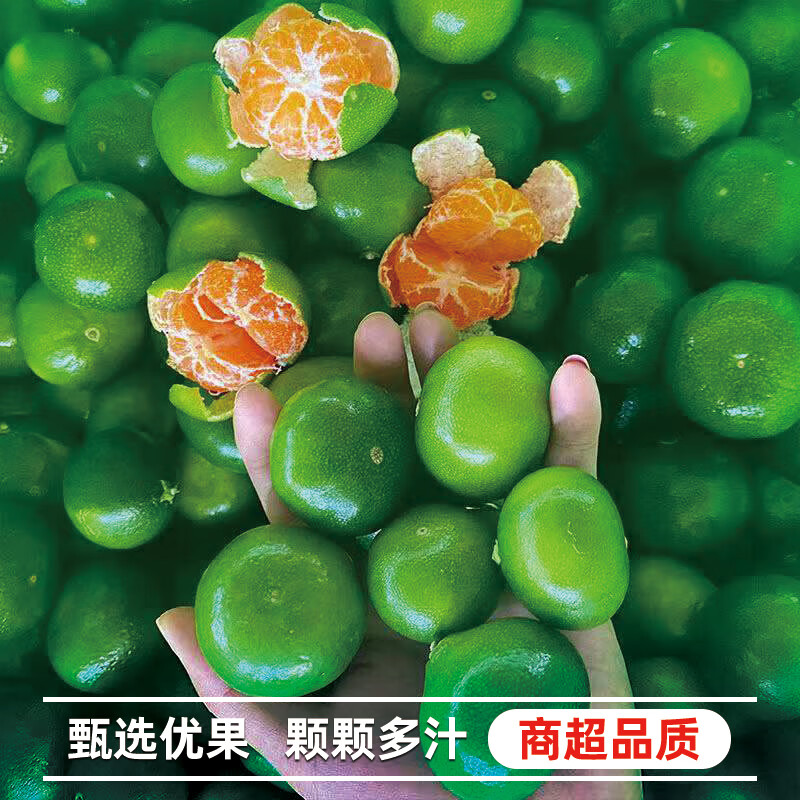 异果恋云南青皮蜜桔【闪送-多地次日达】橘子应季蜜橘当季桔子新鲜水果 大果3斤【果径65mm+:约18-24个】