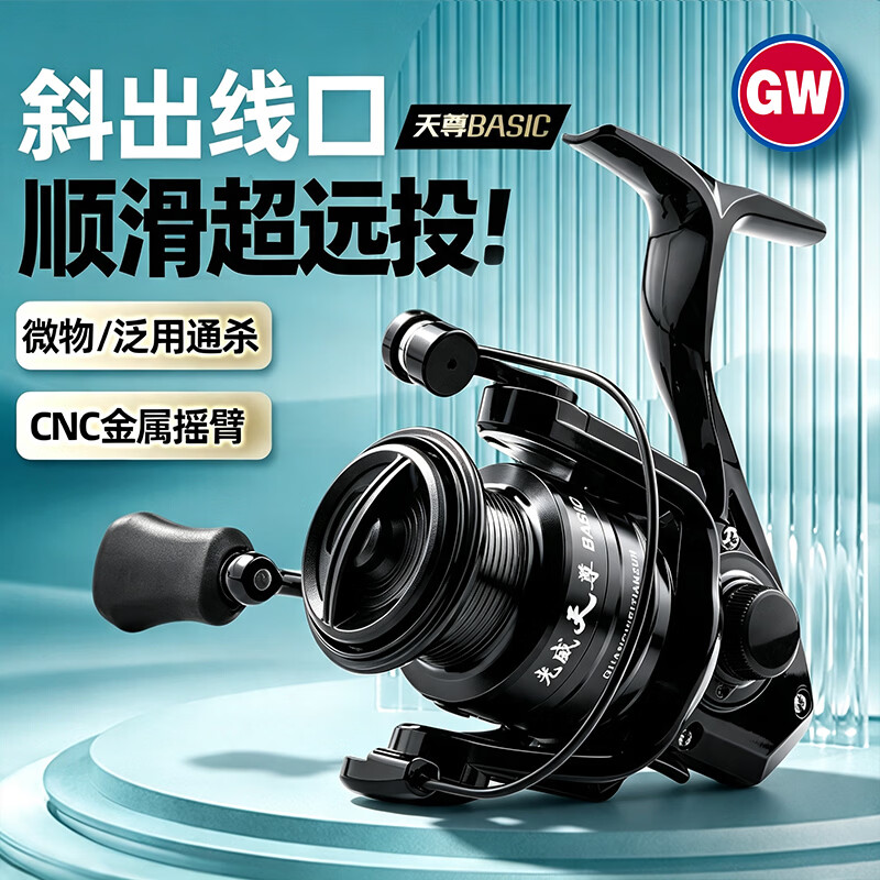 光威（GW）2500S型天尊BASIC鱼线轮微物浅线杯纺车轮渔轮远投路亚海钓轮渔具