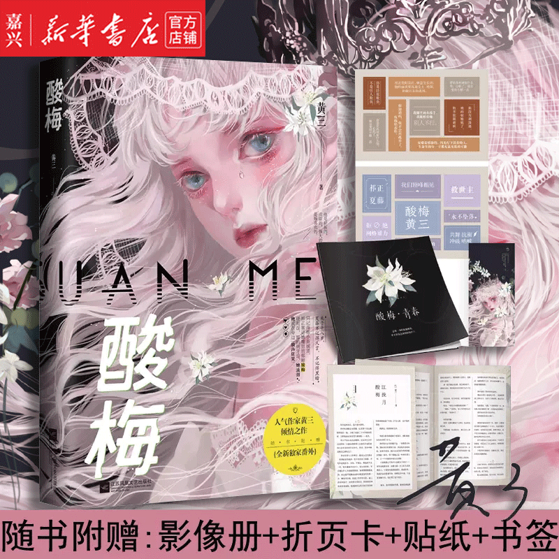 酸梅(附全新 番外)黄三作品 酸梅实体书花火青春校园双向救赎成长小说