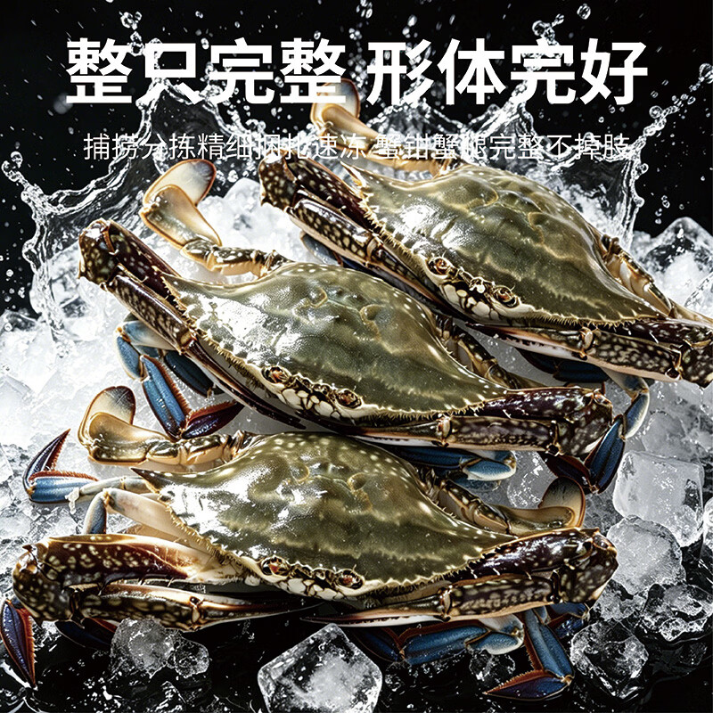 大海船说【冷冻】舟山超大梭子蟹鲜蟹活冻大螃蟹生鲜飞蟹大肉蟹 梭子蟹 3-5两/只【净重5斤】
