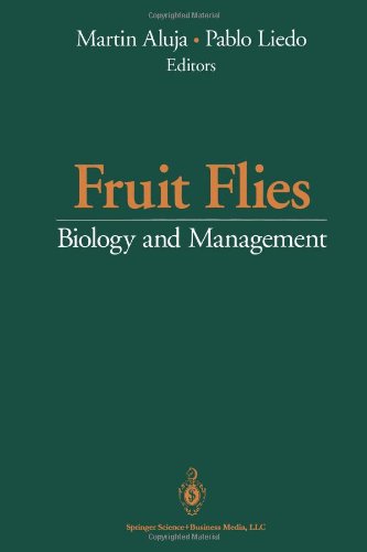 Fruit Flies