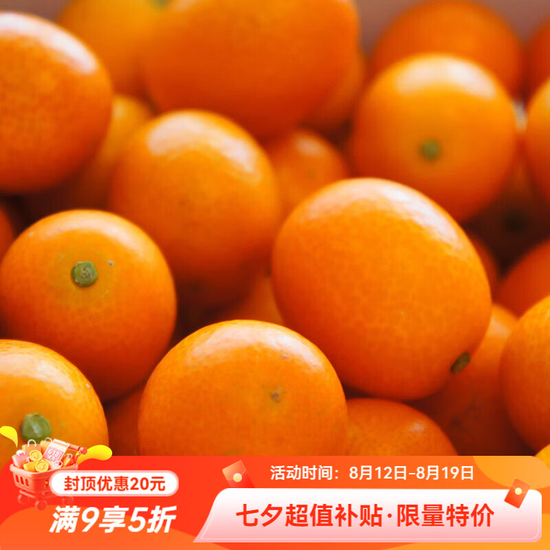 虹越（HONGYUE）家庭果苗 脆皮金桔 阳台庭院休闲种植果树苗WY 【丰产果期长】脆皮金桔 1加仑