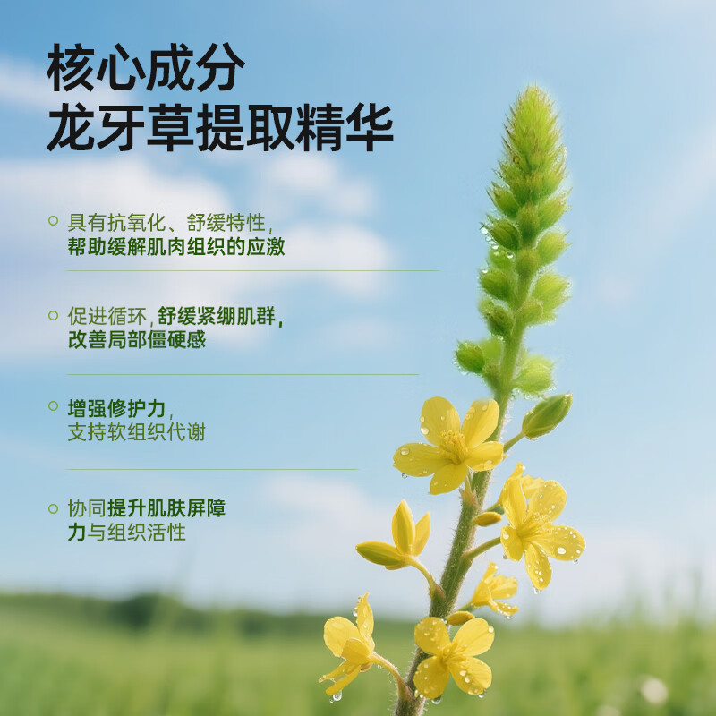 ralflem拉弗锐德国原装进口运动舒缓膏肩颈腰膝关节肌肉酸痛热敷按摩凝胶 德国龙膏100ml*3支 便携旅行装