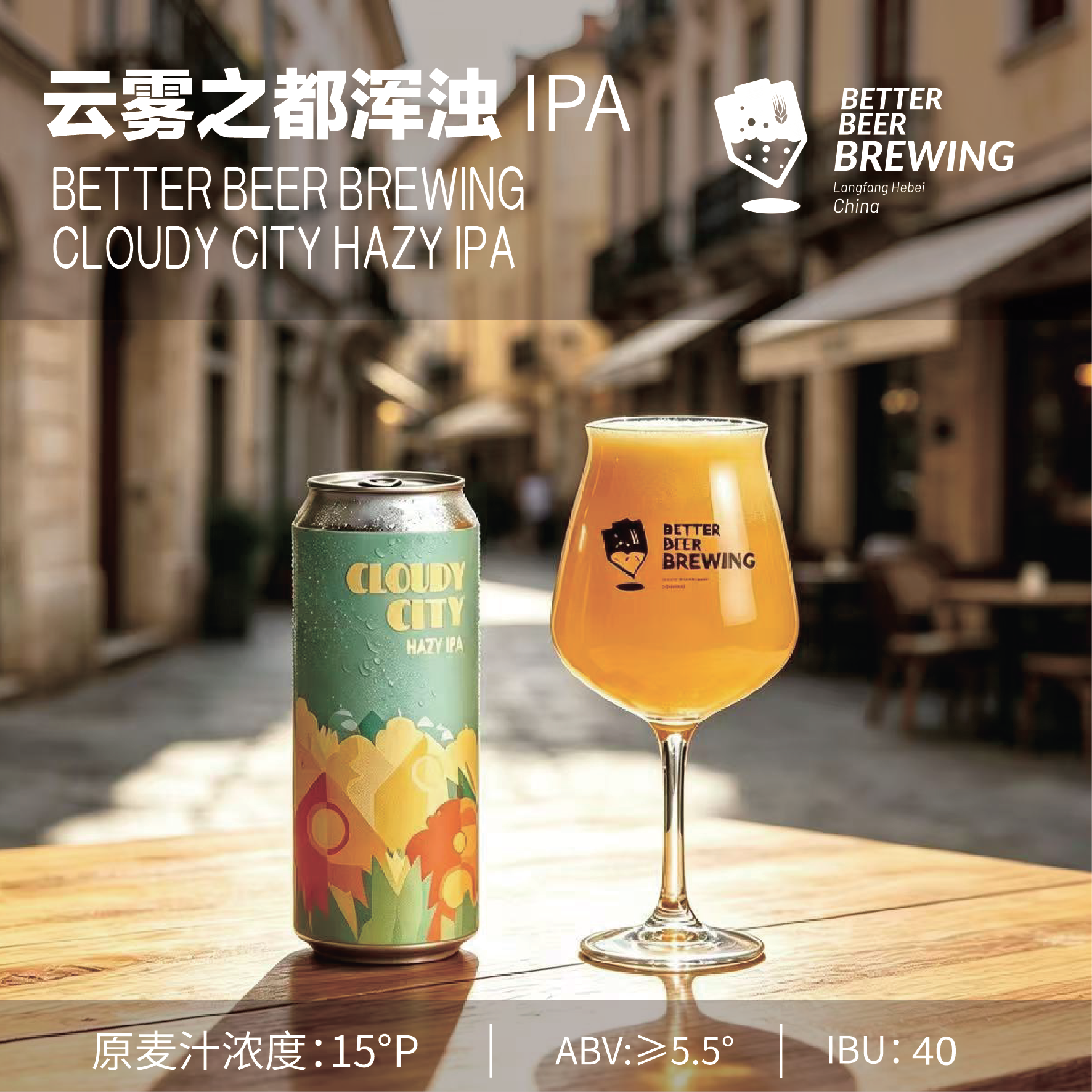 嘉啤【8/20日灌装顺丰送货上门】云雾之都浑浊IPA原麦15°P酒精5.5%vol 云雾之都浑浊IPA啤酒 500mL 12罐 (11元每罐)