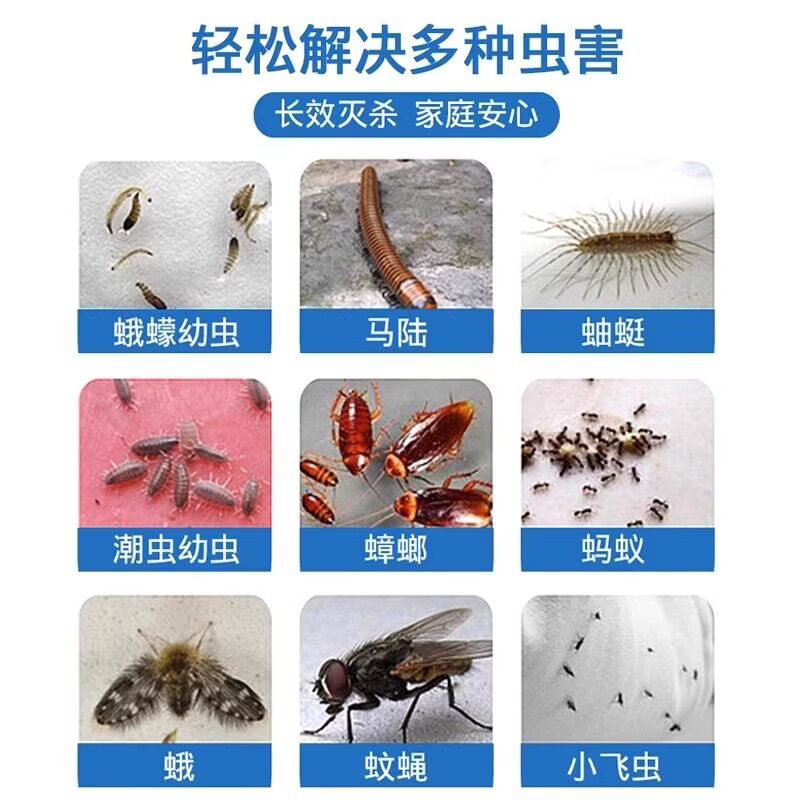 汉田生医下水道去除小飞虫专用蛾蚋杀虫剂下水道杀虫剂家用室内无毒杀爬虫 1瓶【500ml】一倒无虫