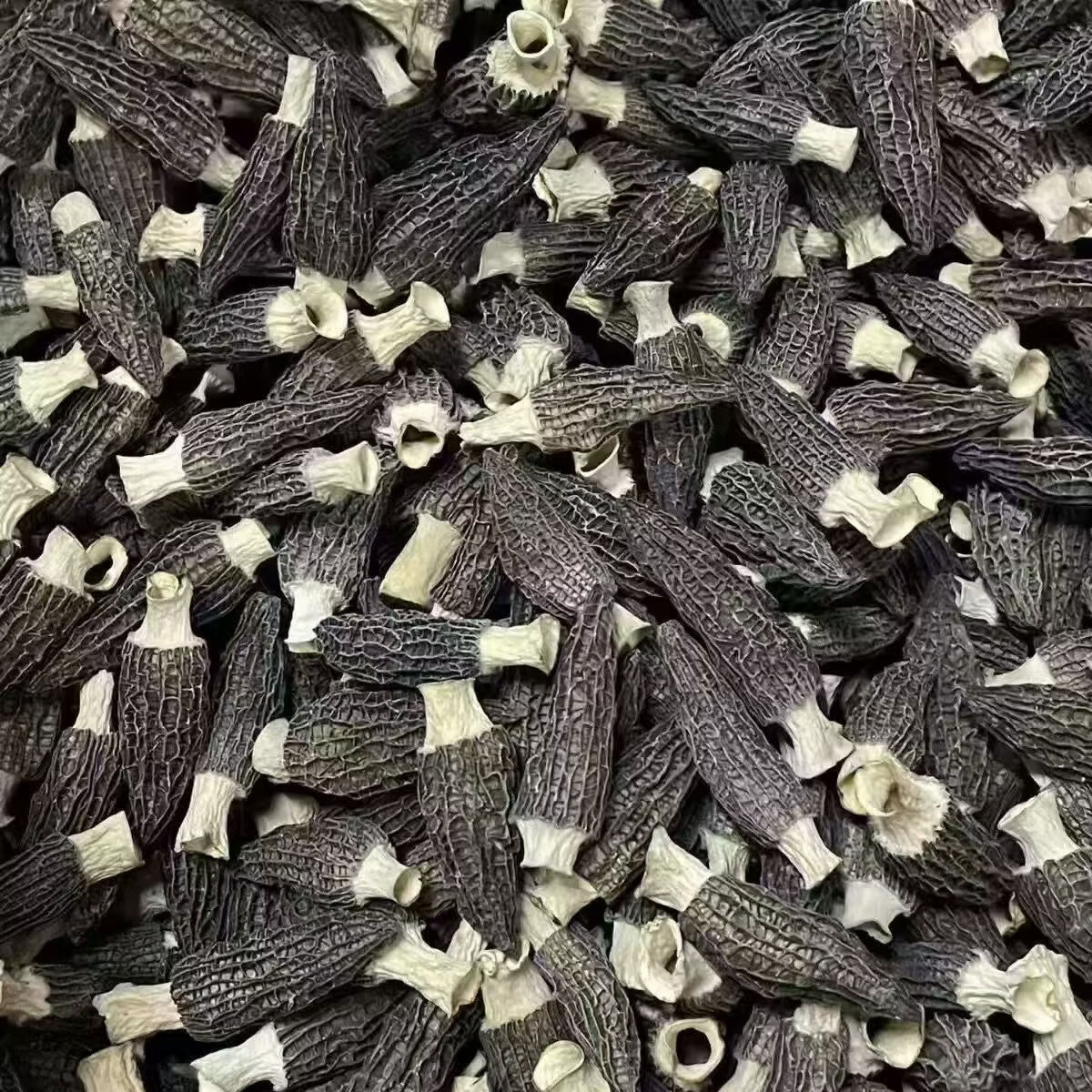 羊肚菌新鲜干货新货肉厚无沙煲汤菌菇火锅食材家用商用批发 500g 羊肚菌【精选品质】净重发货