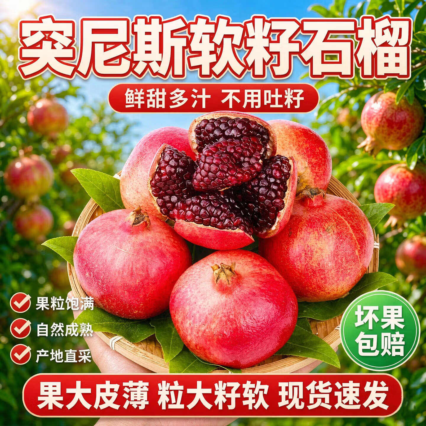 贡鲜果农突尼斯软籽石榴净4.5-5斤 18.9元 - 86线报
