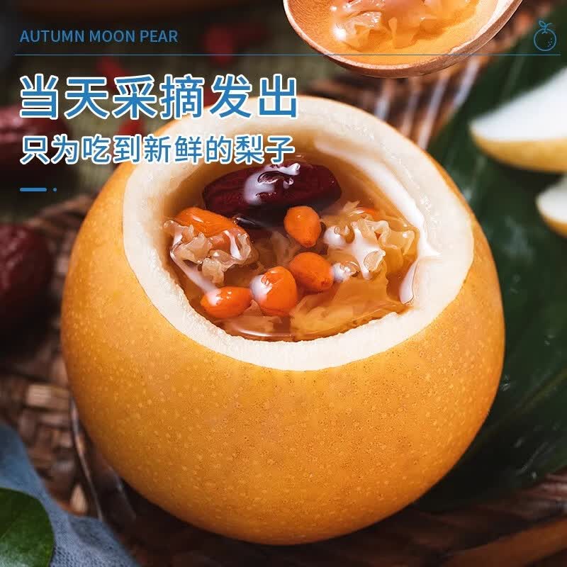 佟创山东秋月梨新鲜水果莱阳冰糖梨当季新鲜水果中秋送礼送人整箱 净重4.5斤普箱【单果300g+】