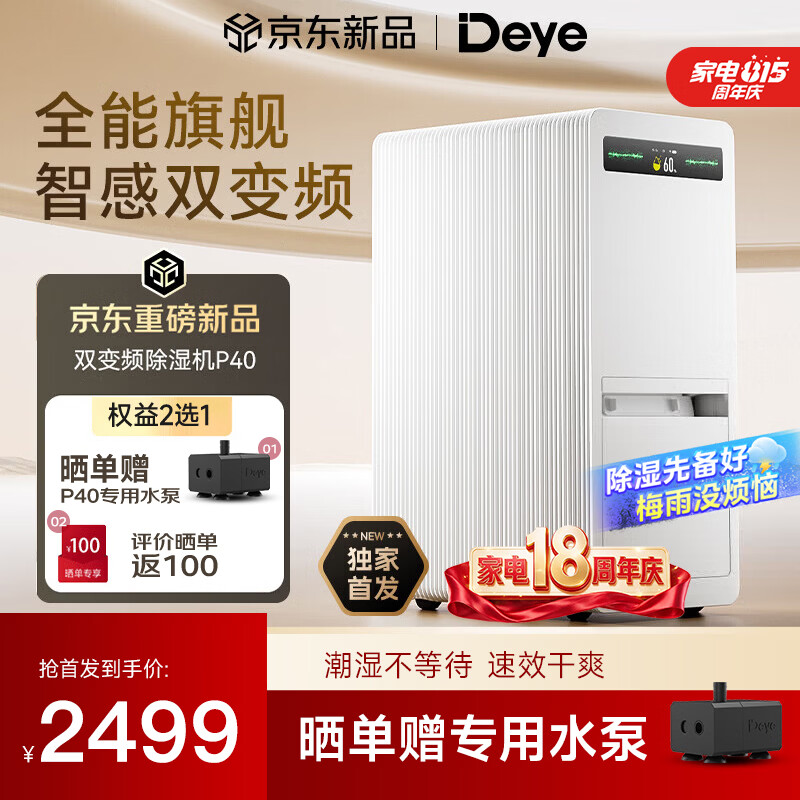 德业（Deye）双变频除湿机40升除湿量家用净化抽湿机卧室地下室客厅防潮除湿器干衣轻音等离子DYD-P40 40L/天 70-120㎡ DYD-P40