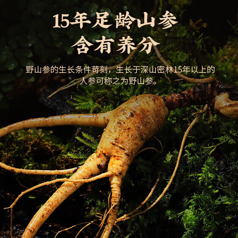 同仁堂(TRT)正宗野山参粉15年以上礼盒装 人参粉野山参长白山云岭 五盒礼盒精装送礼送长辈30g*5 30g*5盒