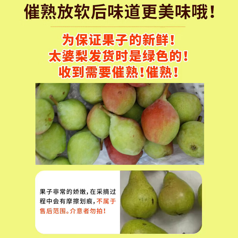 甜醉了烟台太婆梨山东梨子新鲜水果老婆梨软梨葫芦梨茄梨生鲜大头梨啤梨 净重4.5斤中果 (软糯香甜)