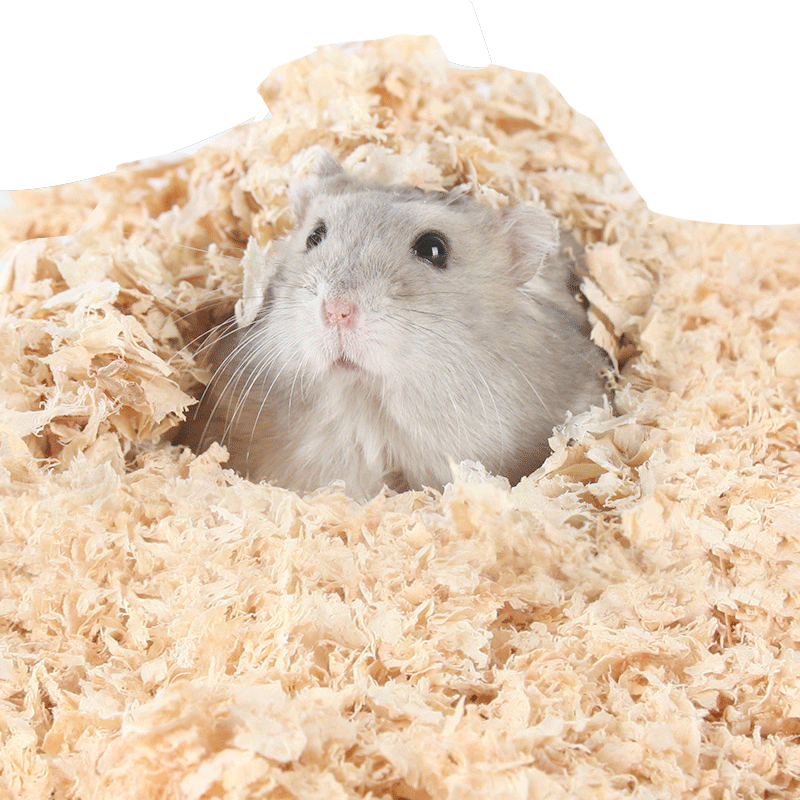 �ĸ��� �������ľм��ɰ��˿��������ʳ��֦��«������Ʒ500g