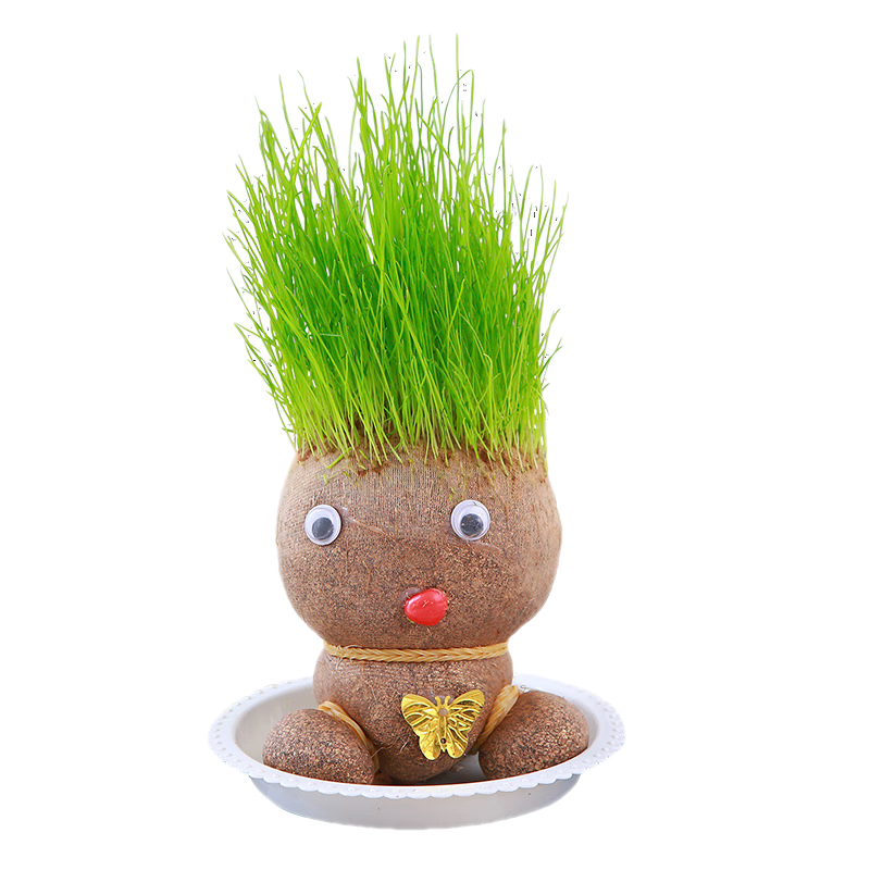 易囍艺 水培巴西木幸运木格鲁特创意绿植盆栽室内好养办公桌面植物 长草娃娃1个+1底托 规格