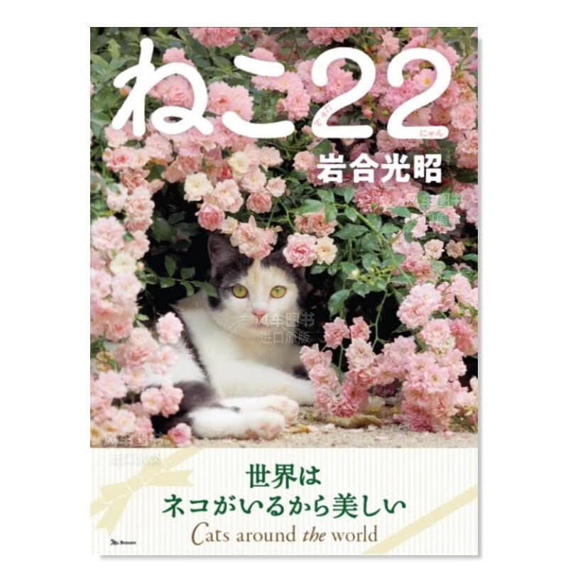 【现货】岩合光昭猫咪摄影集 ねこ22(にゃんにゃん) 日文原版 日本