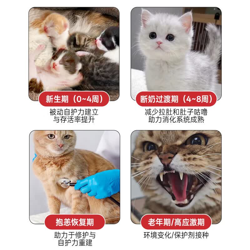 金宇曼赤肯宠物牛初乳免疫增强膏猫狗通用营养膏提高免疫力 曼赤肯牛初乳软膏30g*1支+维生素B口服液