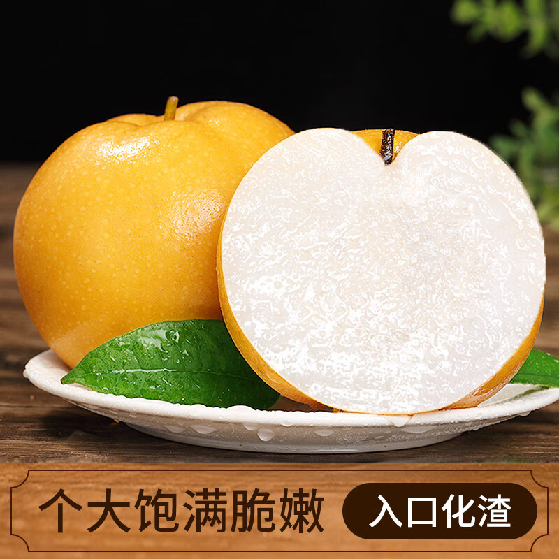 春福乐 正宗山东秋月梨【闪送-多地次日达】水果当季现摘冰糖梨顺丰礼盒 5 斤大果【单果 6 两起】净重 4.5斤 普通快递丨商超一级果