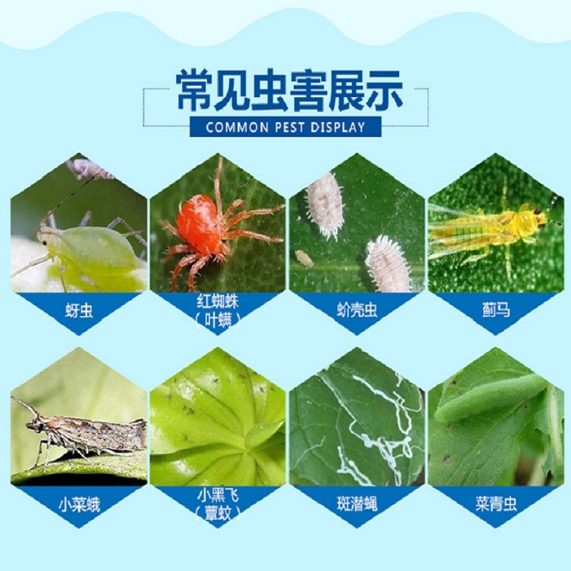 德沃多植物杀虫剂喷雾室内盆栽花卉多肉水培土壤杀虫剂呋虫胺螺虫乙酯噻虫嗪花药家庭园艺通用除花虫蚜虫杀虫剂ml 2瓶 虎窝购