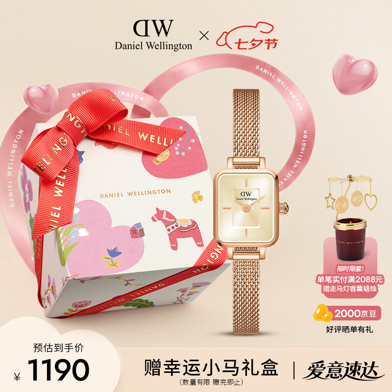 丹尼尔惠灵顿（DanielWellington）【马思纯同款】DW女士手表复古小方糖轻奢生日礼物送女友DW651