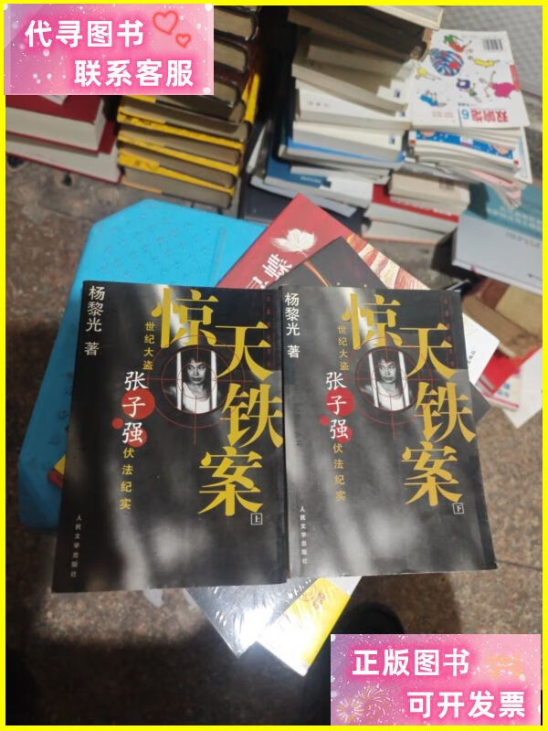 惊天铁案(上下) 人民文学出版社二手书
