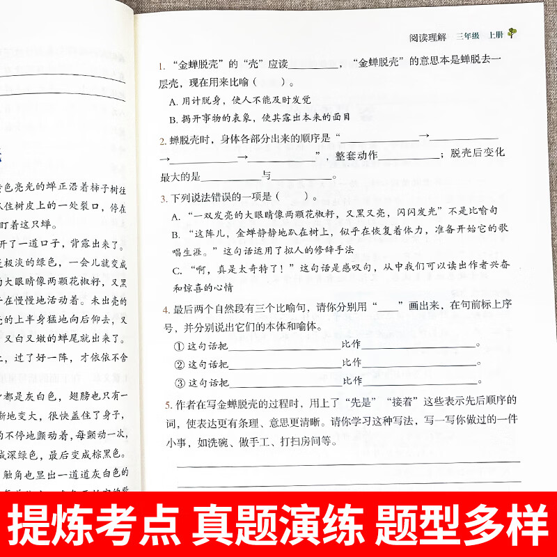 一年级上册下册二三四五年级阅读理解专项训练书看图写话人教版小学生1年级上学期课外阅读强化练习题每日一练 阅读理解二年级 无规格