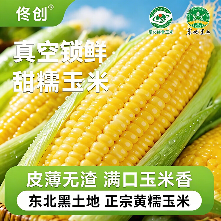 佟小满新鲜东北黄糯玉米棒甜苞米轻食代餐真空包装农科院推荐根茎类粗粮 整根黄糯玉米8棒 单根200-220g