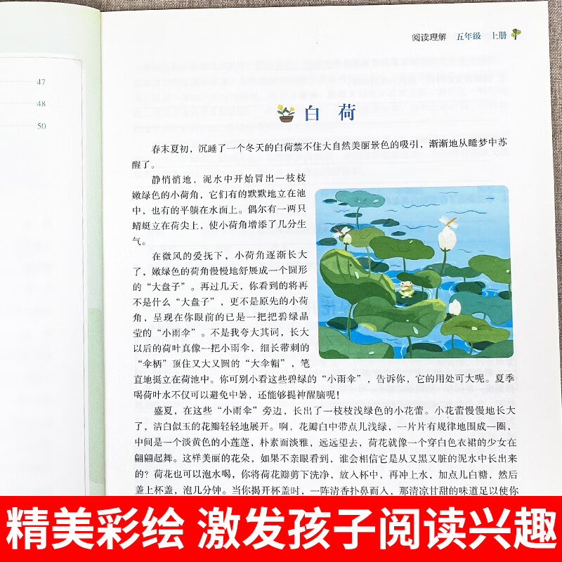 一年级上册下册二三四五年级阅读理解专项训练书看图写话人教版小学生1年级上学期课外阅读强化练习题每日一练 阅读理解二年级 无规格