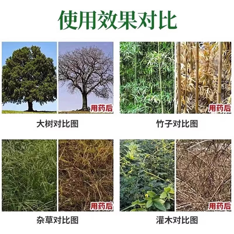 灭竹子专用烂竹根连强力除竹粉腐蚀竹根开荒地灌木杂草一扫光神器 买五桶发九桶【永不返青】