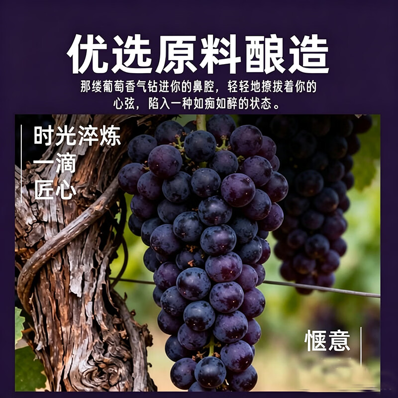宝路威登白兰地XO洋酒法国进口原酒40度烈酒调酒基酒自饮口粮酒700ml 白兰地 700mL 2瓶