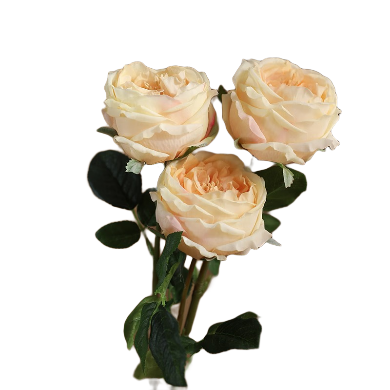 黛莉森仿真花手感保濕玫瑰花單支絹花假花花束客廳餐桌花擺件裝飾塑料花 【濕感】3枝奈斯玫瑰-香檳