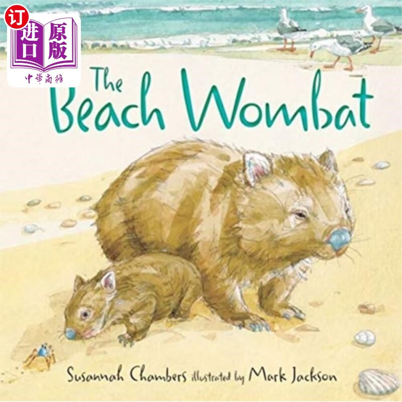 海外直订beach wombat 海滩袋熊