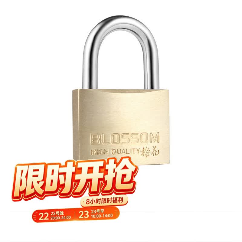梅花（BLOSSOM）铜挂锁箱柜门锁窗锁35MM防锈074电力表箱锁宿舍储物柜门锁